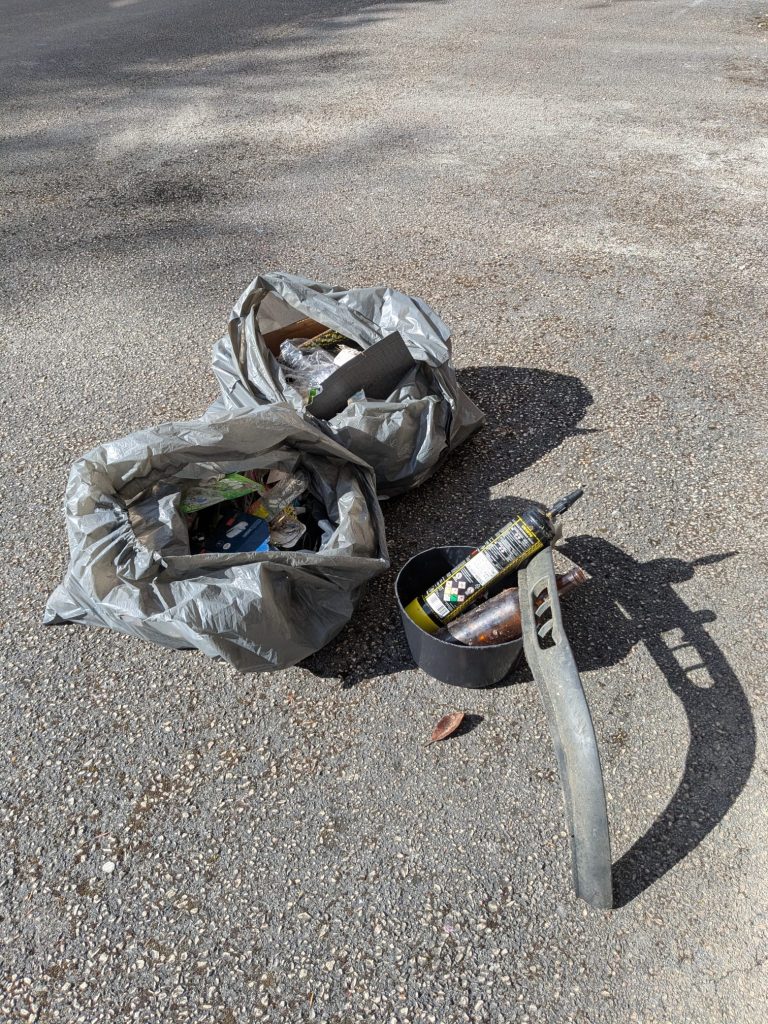 déchets ramassés boulevard de l'université à Dijon